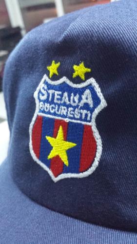 Sapca