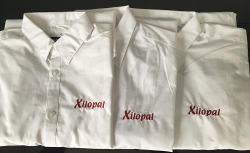 Xilopal 2